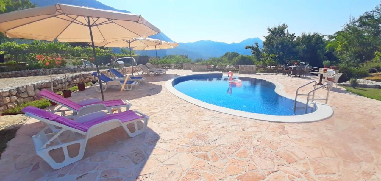 Appartement Pegaz