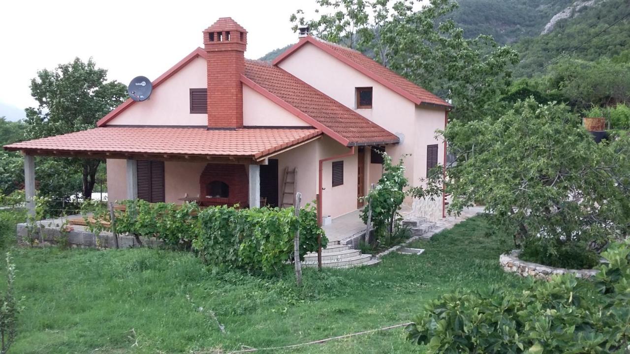 Appartement Pegaz *