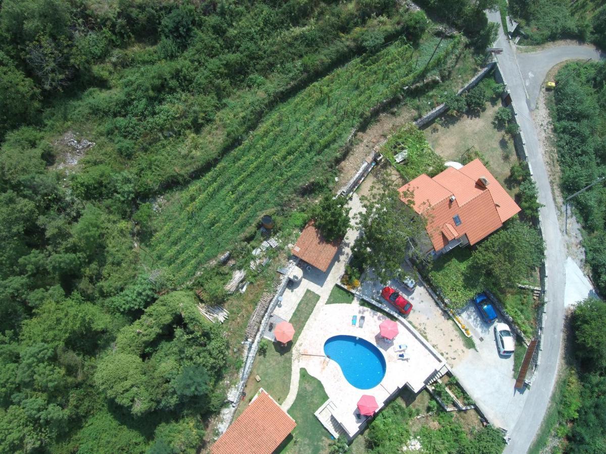 Appartement Pegaz *